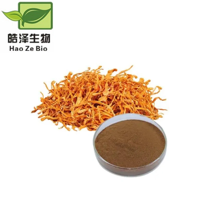 Halal Certificated Health Supplement Cordyceps Sinensis Extract