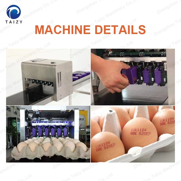 Industry Smart Automatic Egg Date Stamp Printer Printing Machine