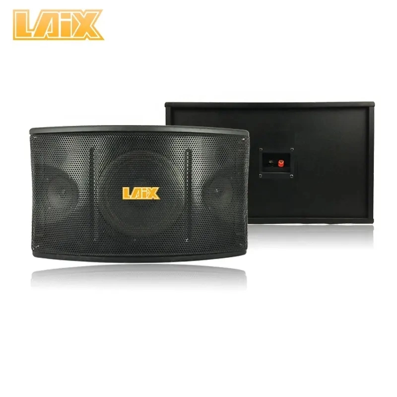 120W 10 Inch Black Karaoke Wall Speaker for Conference and KTV