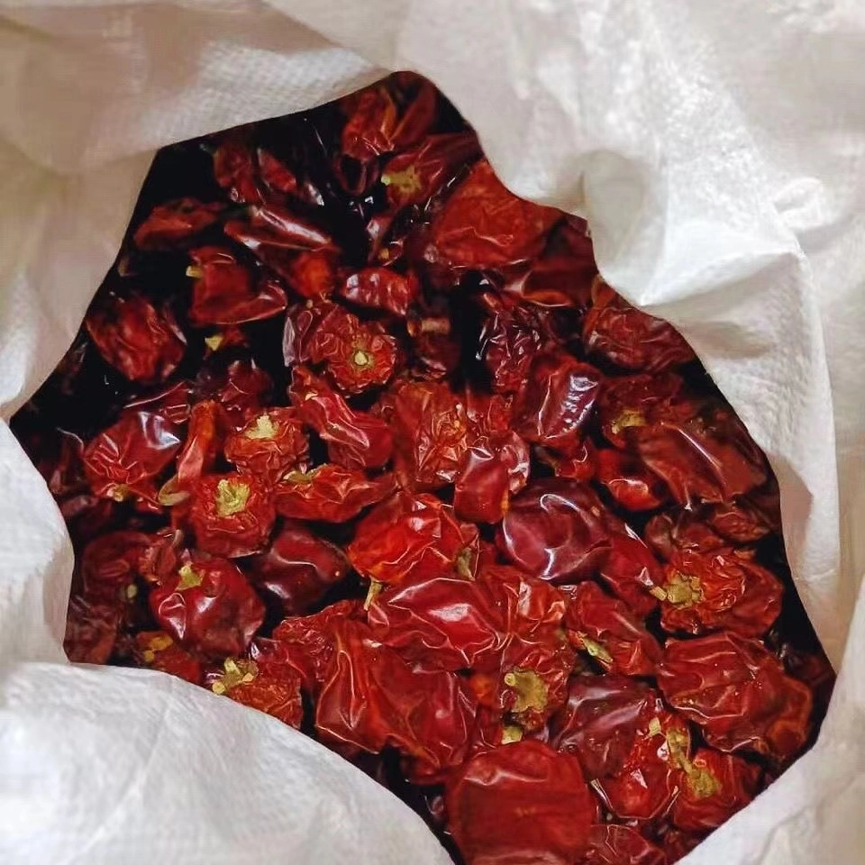 Chili Pepper Red Powder Spices Red Chilli Powder Price Food Grade Red Dried Yellow Red Chilli Powder