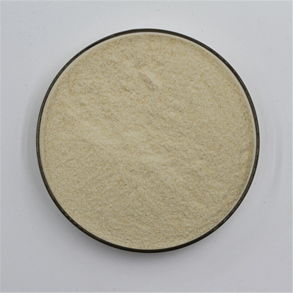 Bohrschmierschlamm Additive Xanthan Gum