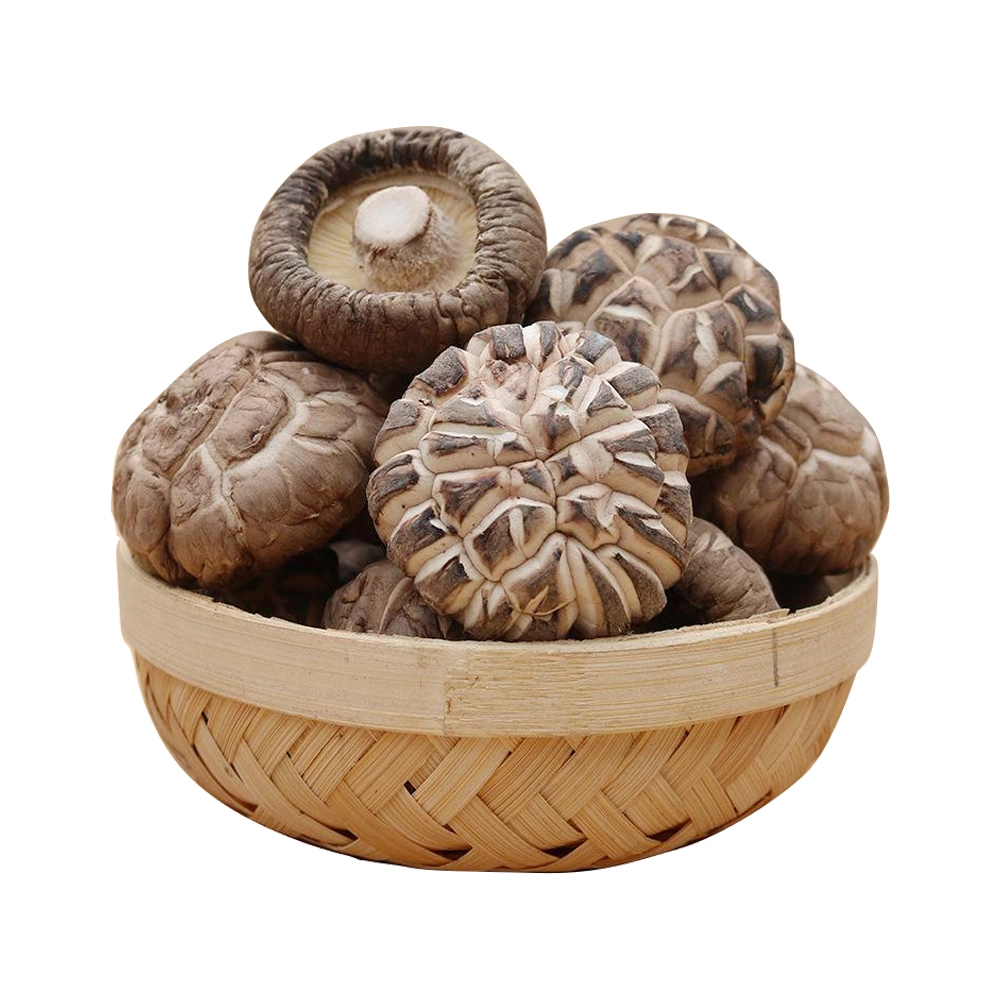 High Health Value Sliced Dehydrated Mushroom for Sale