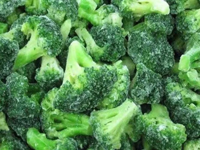 Frzoen IQF брокколи брокколи замороженных овощей высокого качества