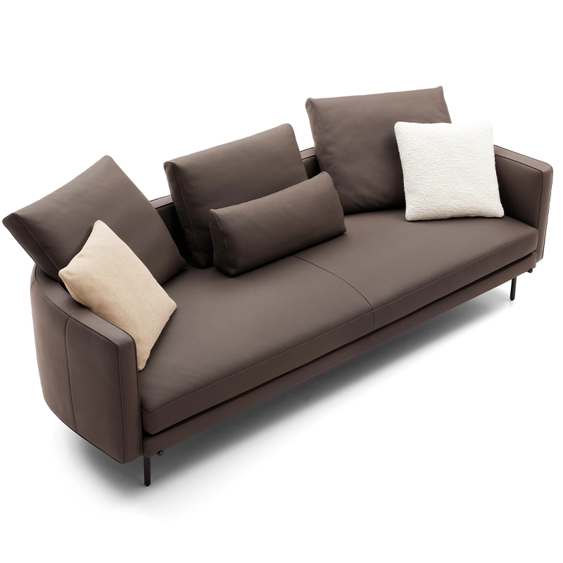 Moderne Couch Luxus Einfaches Sofa Italienisches Design Polstermöbel Wohnzimmer Ledersofa