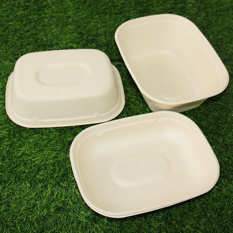 24oz 32oz 42oz Compostable Bio Oval Rectangle Salad Bagasse Food Box Manufacturing Process Takeaway Packaging Bowl with Clear Lid