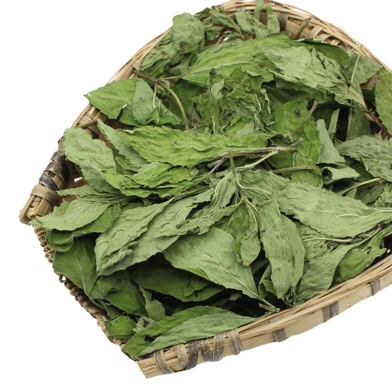 Helath Care Leaf Tea Peppermint Green Bulk Supply Herb Medicine Mint with Special Fragrance