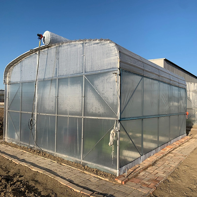 WMGH055 Energy saving multi-span greenhouse for flower