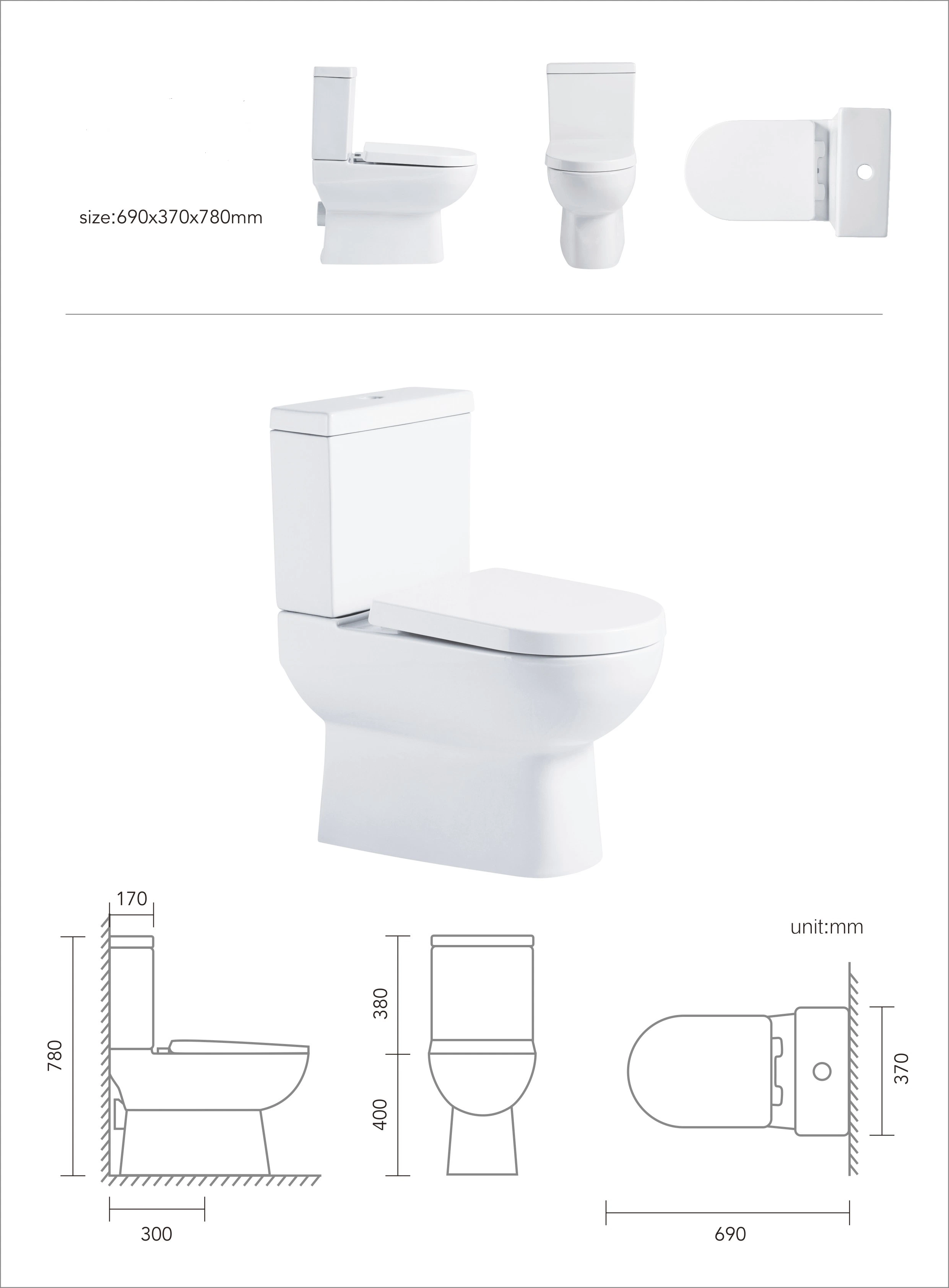 Middle East Washdown S-Trap 250mm P-Trap 180mm Roughing in Two Piece Toilet Bowl Wc Toilet