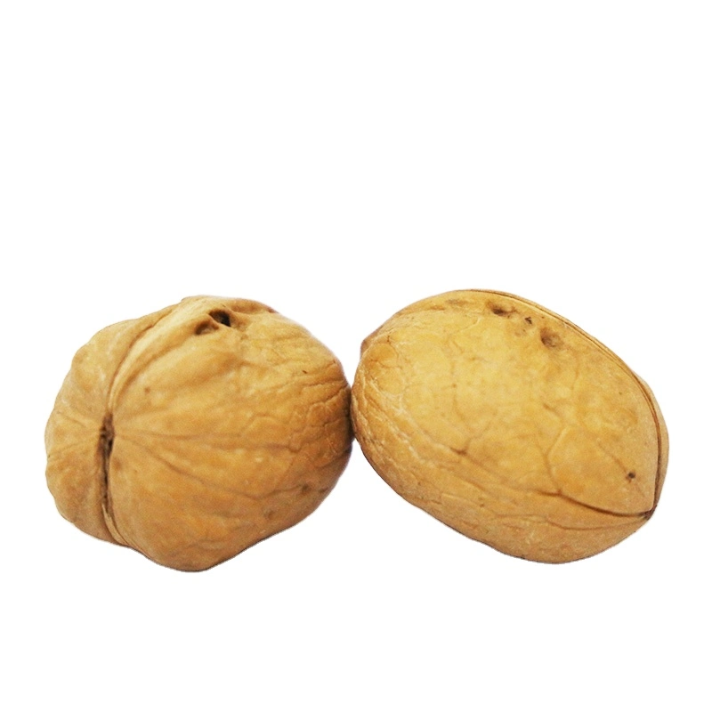 2022 New Corp Xinjiang Thin-Skin Shelled Walnut with Shell