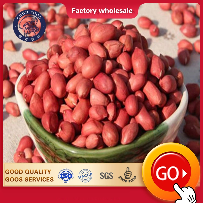 Dried Kernel Peanuts Groundnut Raw/Fresh Red Skin Arachid for Sale Chinese Factory