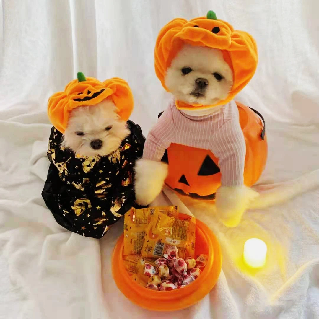 2022 Creative Pet Halloween Costumes 100% Cotton Halloween Pumpkin Hat Pet Accessories for Dogs