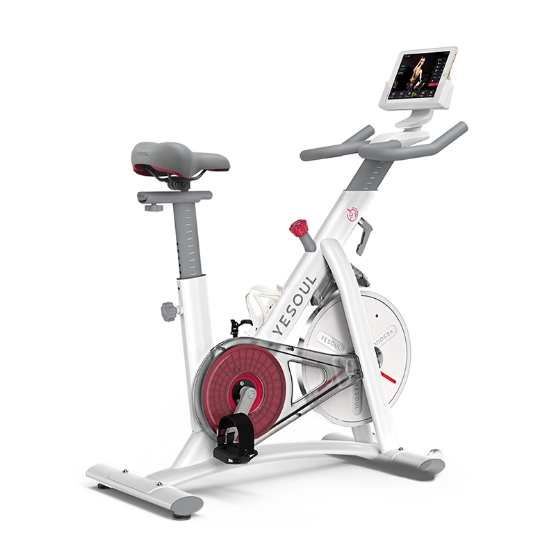 Yesoul Exercise Cardio Spinning Bike/Life Health Wellness Fitness Equipment for Home Gym