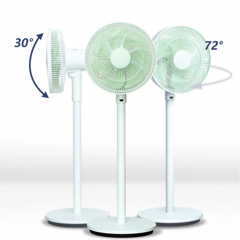 Electric Floor Standing Fan with CE for Home Easy Disassembly and Clean Air Circulator Fan