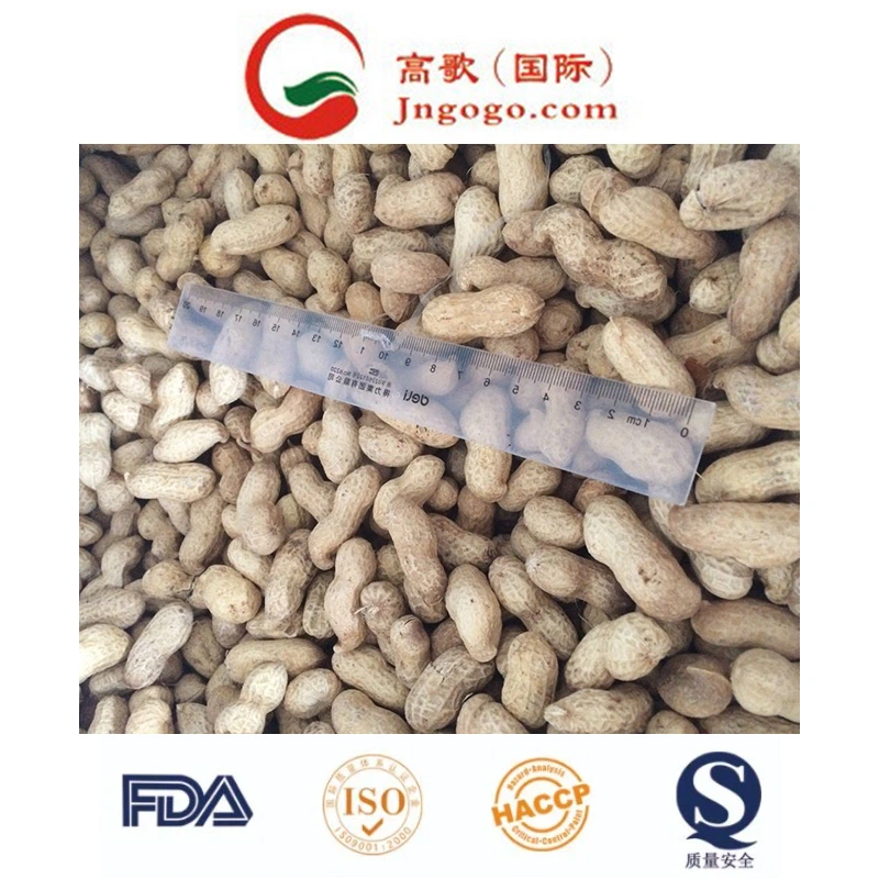 High quality/High cost performance  Red Skin Peanut Kernel