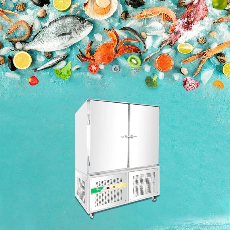 Commercial Shock Flash Freezer for Home Use
