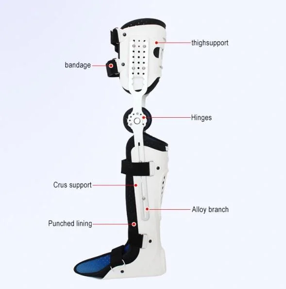 Fixation de fracture traction continue Gamma Nail Knee support Brace BME 501