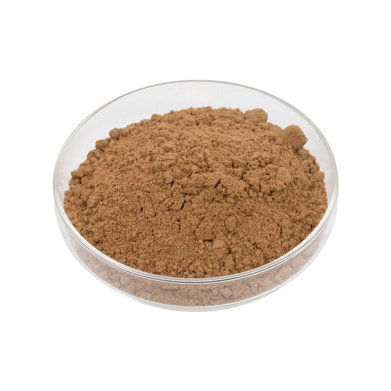 100% Natural Suanzaoren Jujuba Seed Extract Total Saponins 2% Herbal Plant