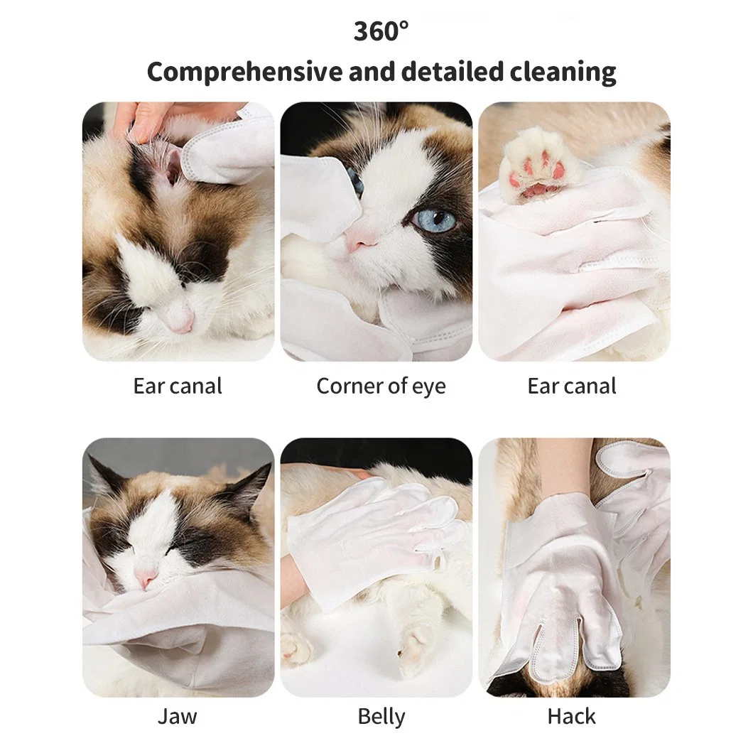 Custom Made Pet Cleaning Product Pet Gloves Wipes Non Woven Fabric Wet Wipes