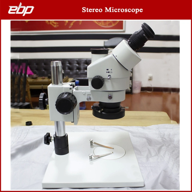 Optical Industries Small Stereo Microscope