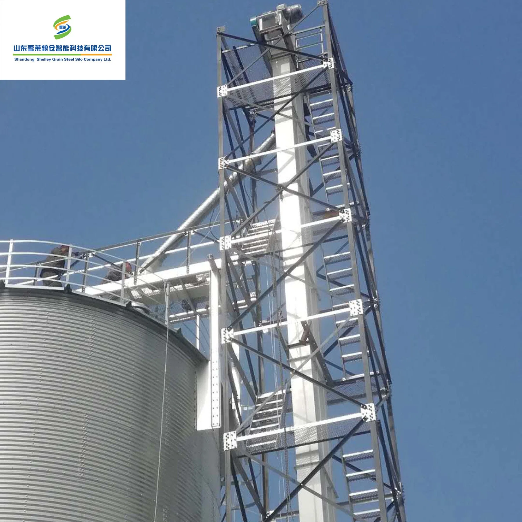 Venta caliente Precio de fábrica de China Silos de Alimentación de Semillas de Trigo, Maíz, Arroz y Paddy con Fondo Vertical y Plano Utilizados Cinta Transportadora de Granos Elevador de Cangilones.