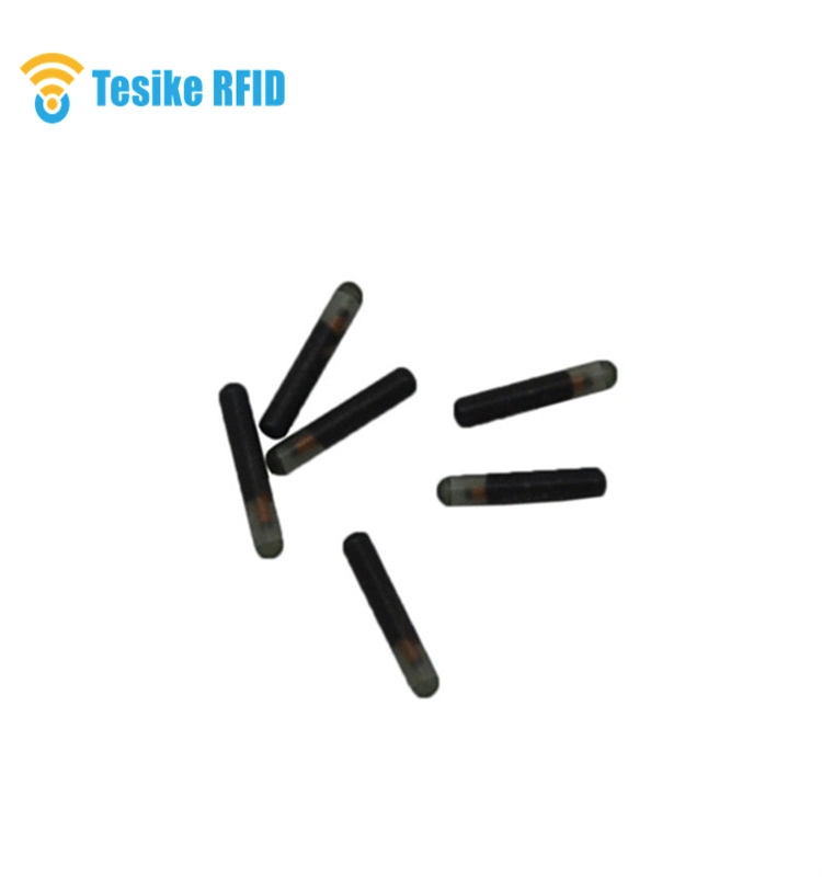 Wholesale RFID Animal Chip Identification Syringe 2.12*12mm Em4305 Pet Microchip