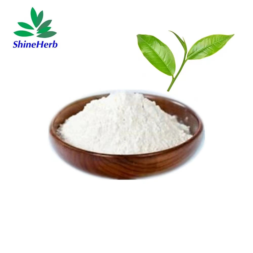 Factory Supply Green Tea Powder 90% 95% 98% EGCG Polyphenols Catechins Green Tea Extract