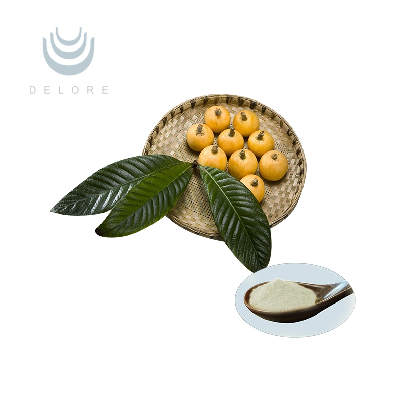 Natural Loquat Leaf Extract Ursolic Acid 50% for Health Supplement