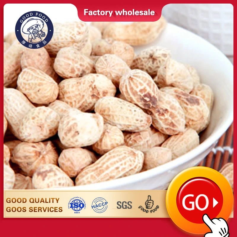 Craftsmanship New Crop Salted Taste Roasted Peanut in Shell Healthy Delicous Salted