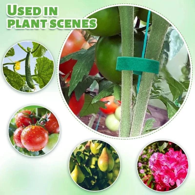 Nylon Plant Ties Resealable Cable Ties Self Adhesive Plant Fastener Tape for Support Grape Vines Tomato Garden Supplies