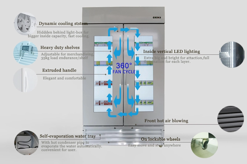 Hospital Two-Layer Glass Door Upright Medical Lab Biological Pharmacy Refrigerator