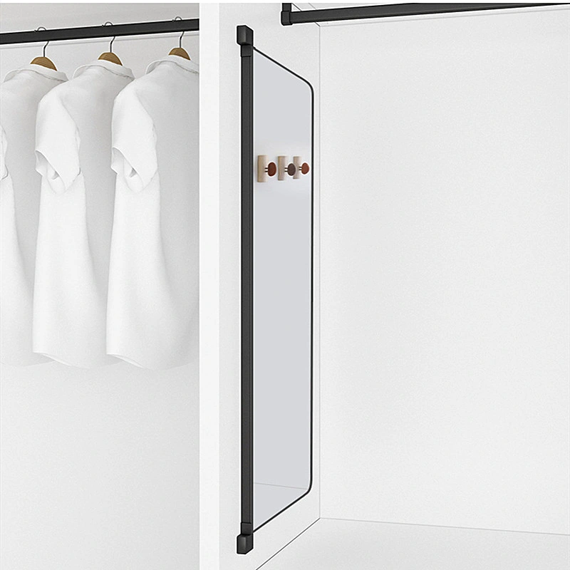 Wardrobe Mirror Sliding Mirror Built-in Full-Length Mirror Wardrobe Folding Hinged Door Wardrobe Built-in Full-Length Mirror 0024