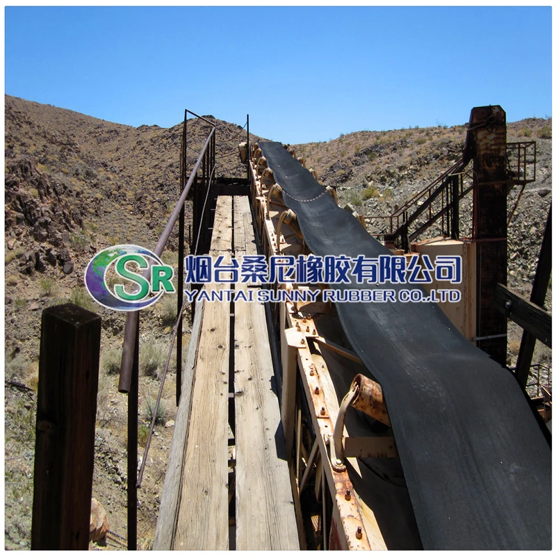 Top Manufacturer Supplier of Ep/Ee Rubber Conveyor Belt