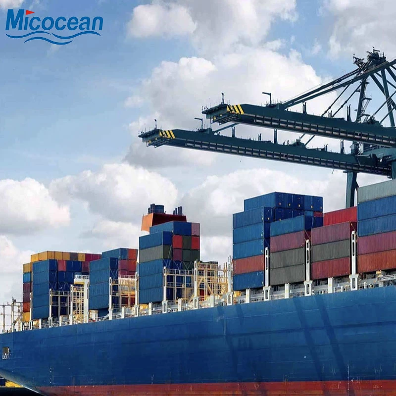 International Logistics Agent Shipping Service From China to Cote D&prime; Ivoire