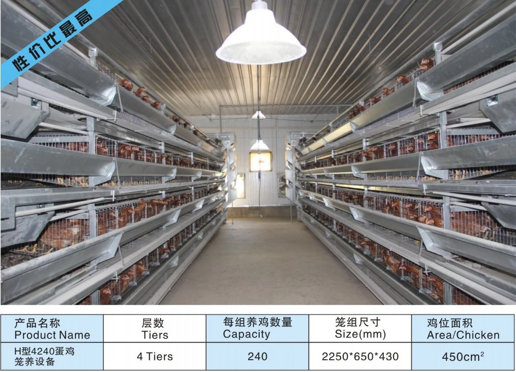 Gallinero automático de las granjas avícolas jaulas de aves de corral de Equipos de alimentación de la capa