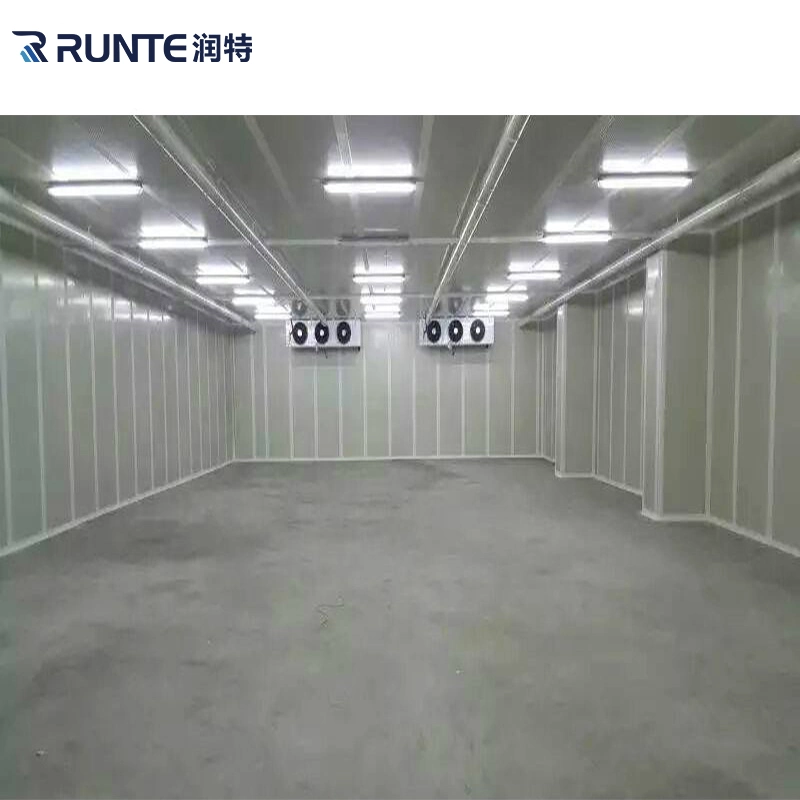 Runte Brand Widely Used Superior Quality Vegetables Fruit Meat Chicken Beverage Seafood Freezing Room Cold Storage