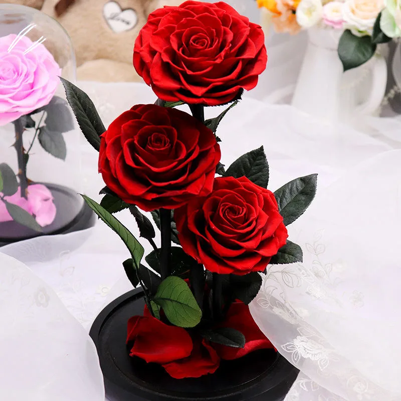 الجملة زهرة الوردية الحقيقية الحفاظ على زهرة الوردي لأفضل المبيعات المنتجات 2020 في الولايات المتحدة الأمريكية