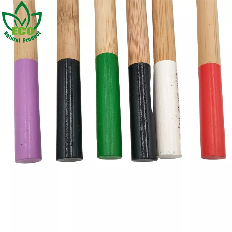 Cepillo de cerdas con carbón 100% biodegradable Eco adulto de bambú de DuPont de carbón de bambú de nylon suave pintura ecológica