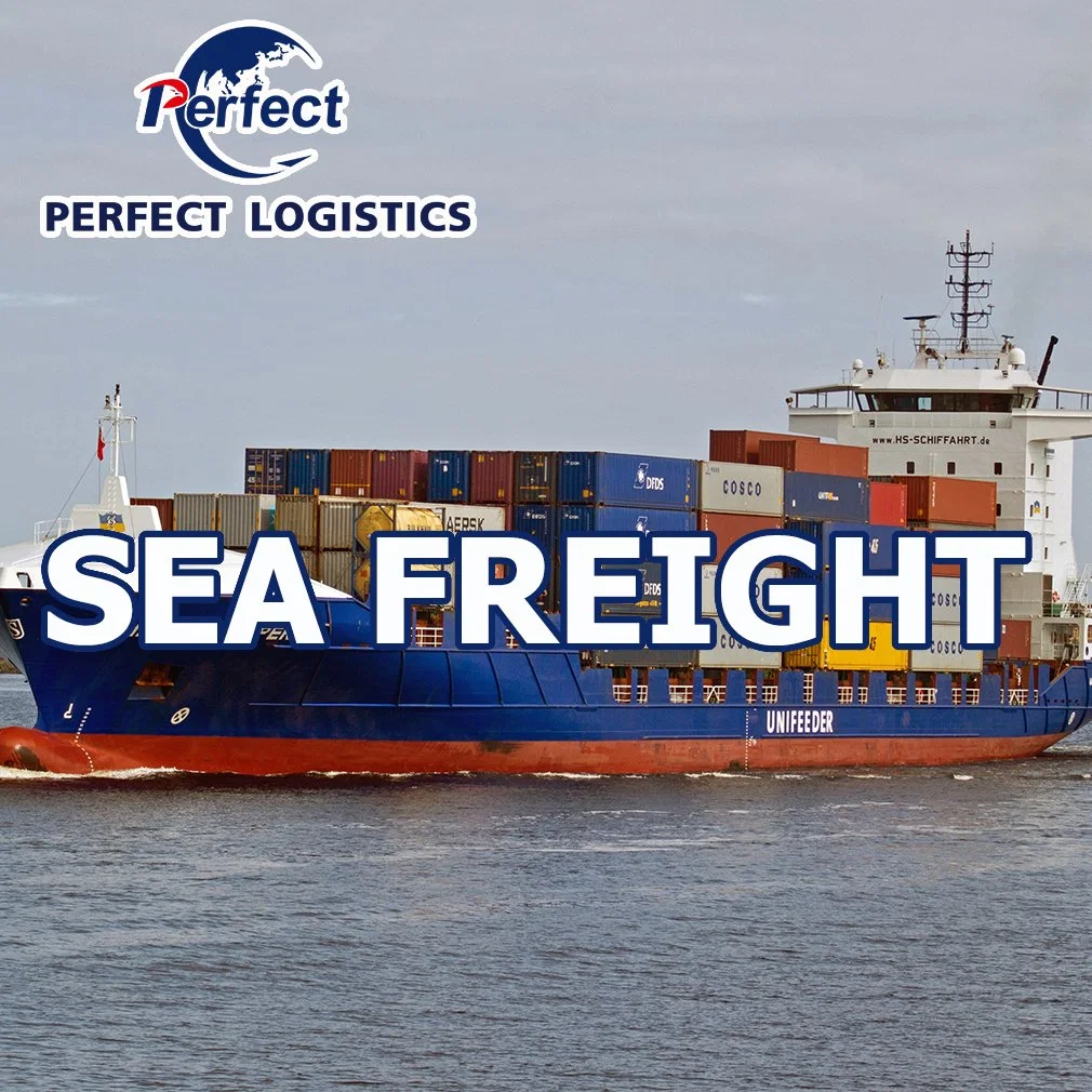 Ocean Shipping Fowarding Agent From China to Estonia/UK