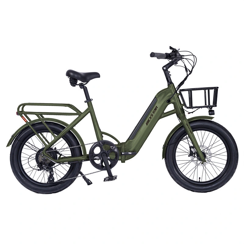 Japanese Adult 1000W Electric Fat Tire Bike 20 Inch MID Drive