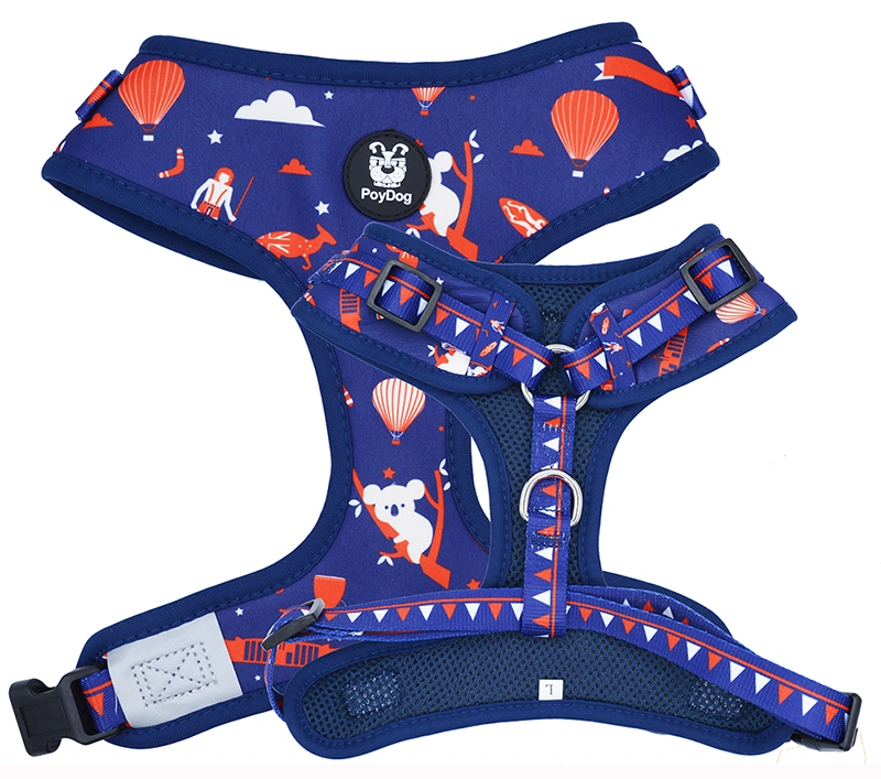 Hanyang Pet Supplies Custom Pattern Luxury Printed Adjustable Reversible Collar Leash Bandana Set Dog Harness