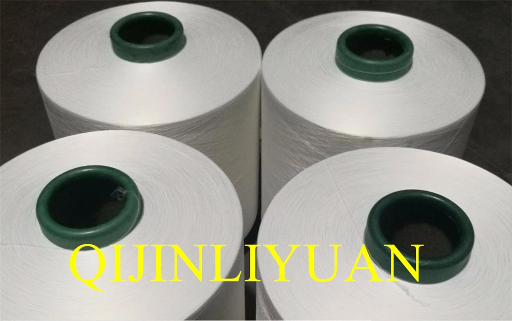 Polyester Yarn DTY 300/96 SD RW Nim AA Textile Yarns