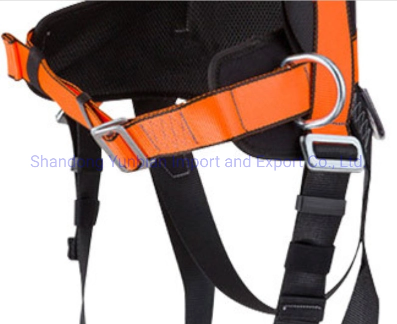 Five-Point Adjustable Waist Protection Positioning Safety Belt