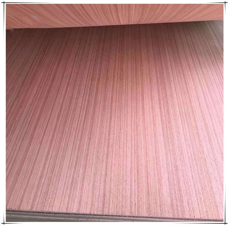 أرخص سعر Red Meranti Wood Construction Grade Standard Export Packing خشب رقائقي على سطح البجعة