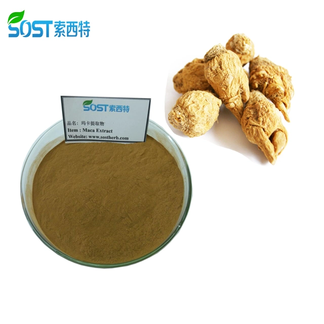 Wholesale Black Maca Root Powder for Healthcare