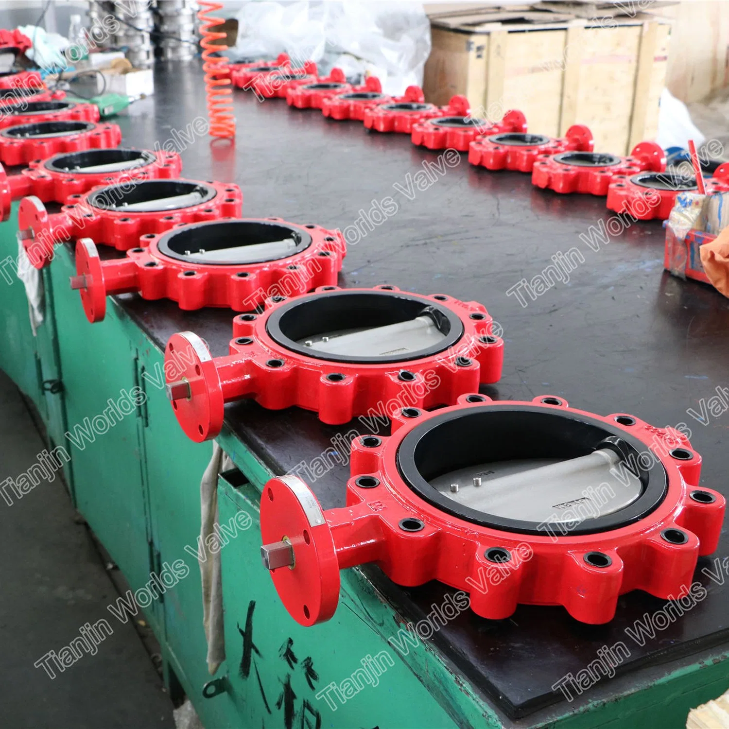 Ggg40 Ggg50 EPDM NBR Sealing Full Lugged Butterfly Valves Ss Body and Disc