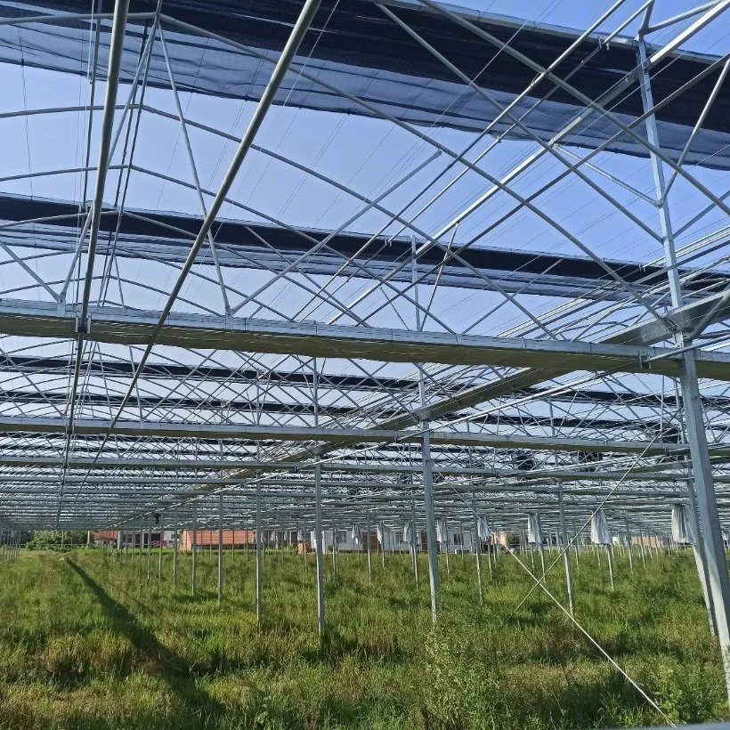 Smart High-Quality Agricultural Glass Greenhouse with Automated Control System