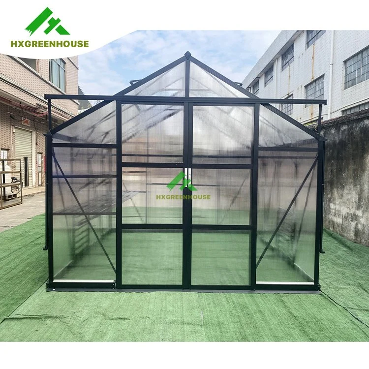 Preto Antique nutrientes Shandong LED Grow Light Greenhouse