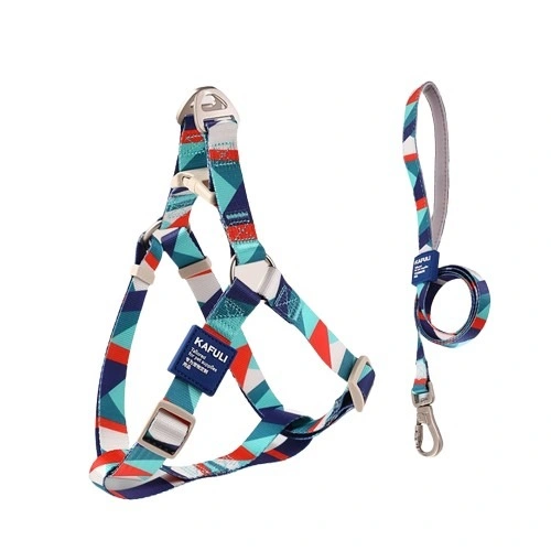 Starkes Polyester-Webing Langlebige Allround-Pflege Haustier Outdoor Leash Und Kabelbaum