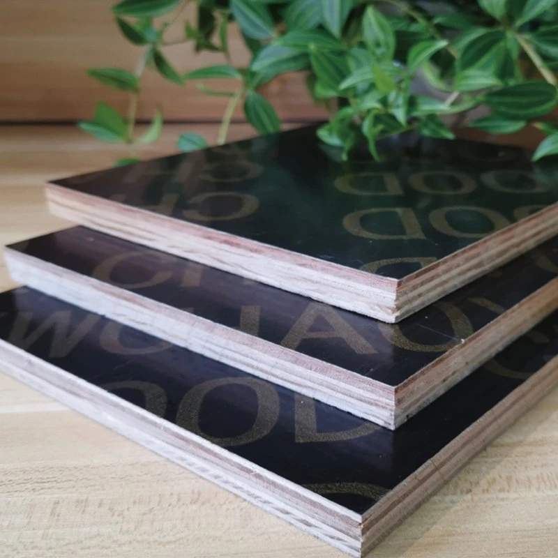 Building Material Film Faced Plywood Natural Veneer Construction Plywood