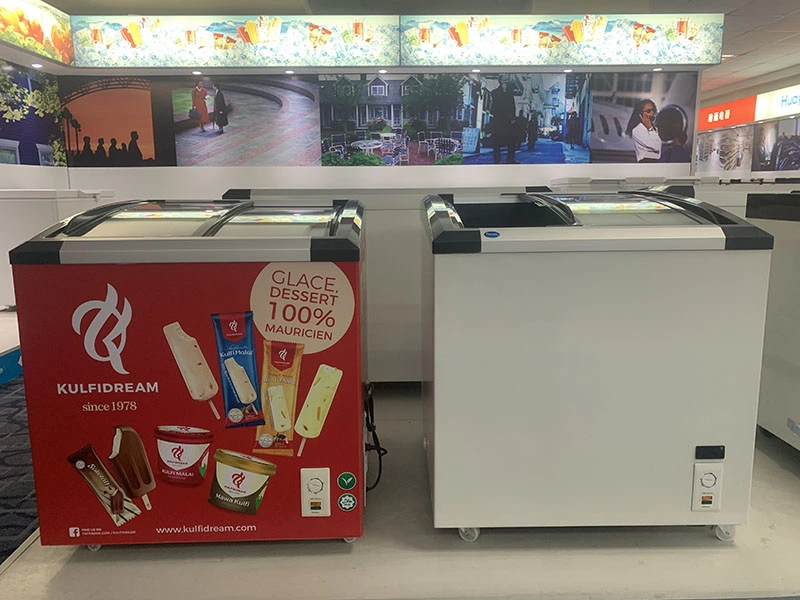 China fábrica OEM 168L Supermercado comerciales Enfriador de puerta de vidrio nevera Mini nevera Vitrina de helado de carne frutas Mostrar Lote congelador profundo congelador horizontal